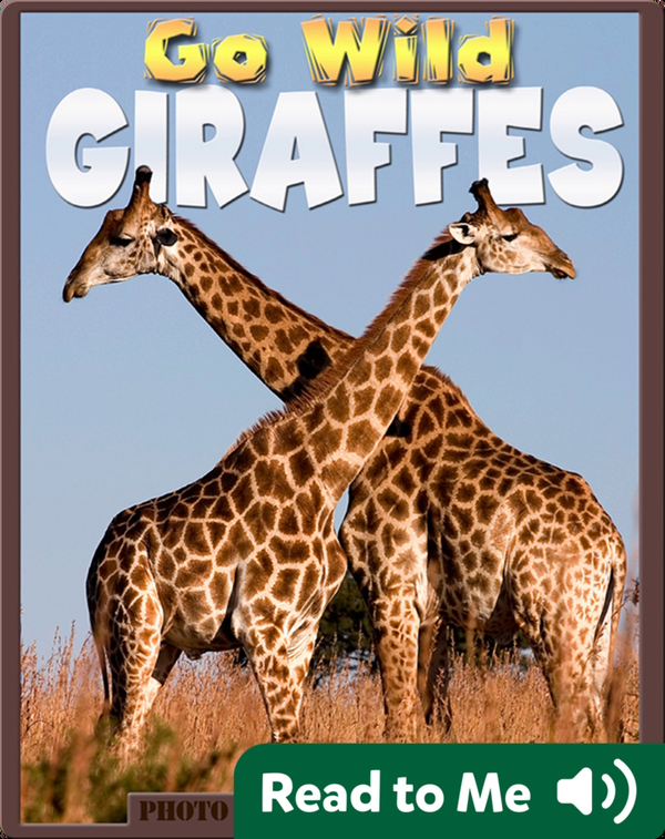 Go Wild Giraffes