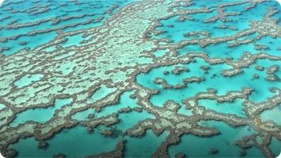 Did You Know: The Great Barrier Reef
