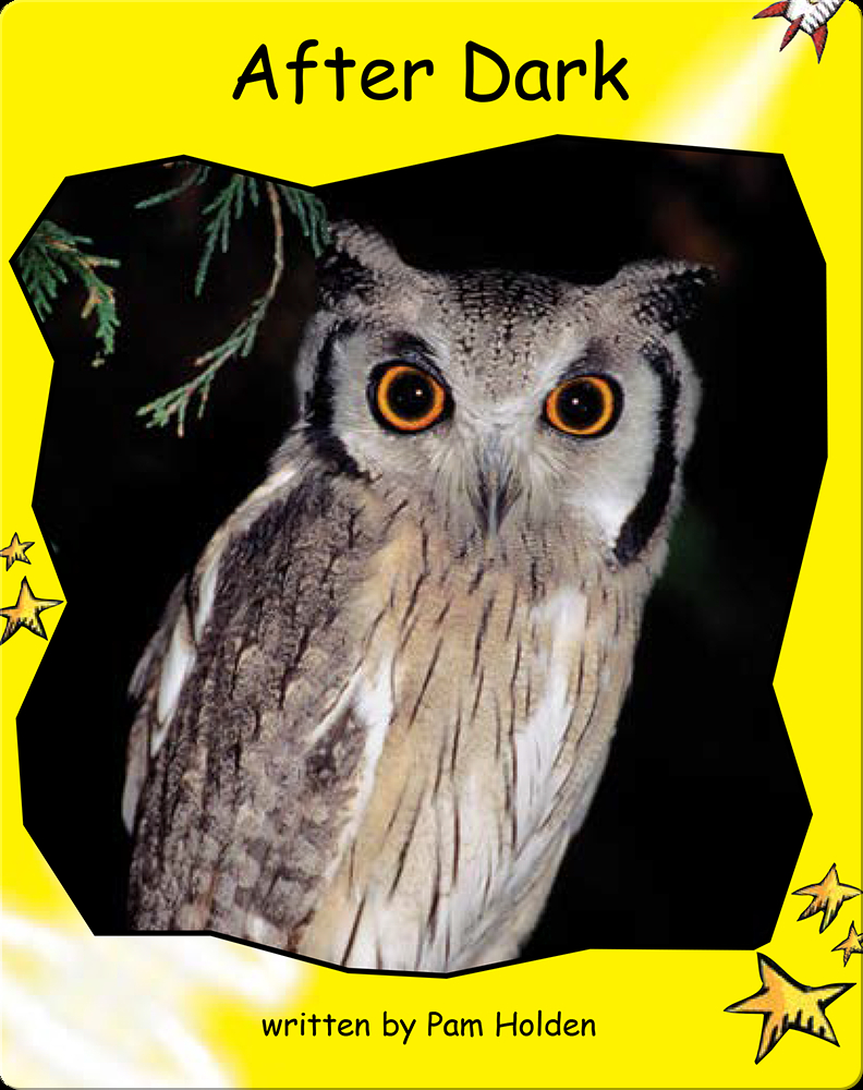 After Dark Book by Pam Holden Epic