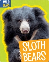 Sloth Bears