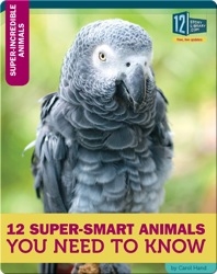 12 Super-Smart Animals You Need To Know