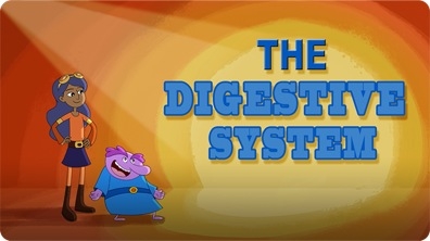 The Digestive System