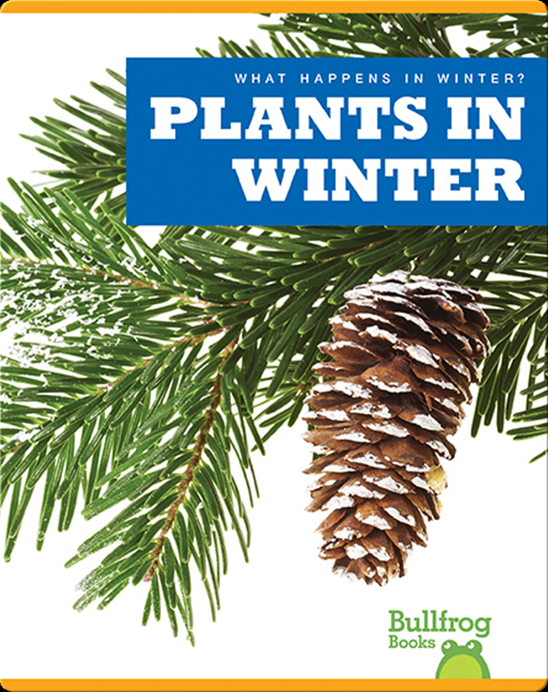 What Happens In Winter? Plants In Winter Book by Jennifer Fretland VanVoorst Epic
