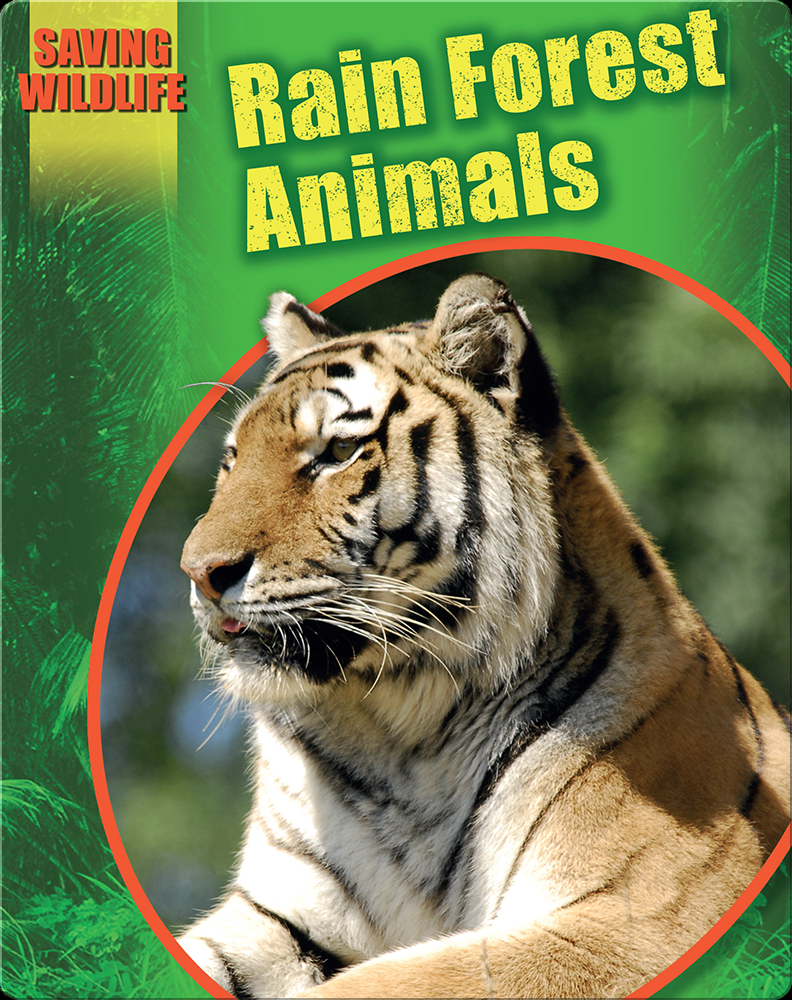 Rain Forest Animals Book by Sonya Newland | Epic