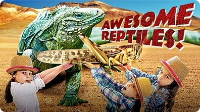 Reptiles for Kids | All About Reptiles | Fun Reptile Videos for Kids