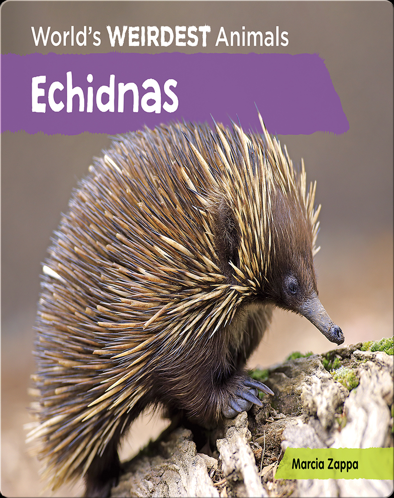 Echidnas Book by Marcia Zappa | Epic