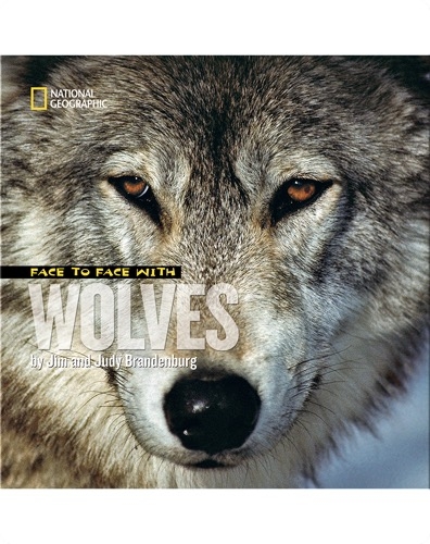 Face to Face with Wolves