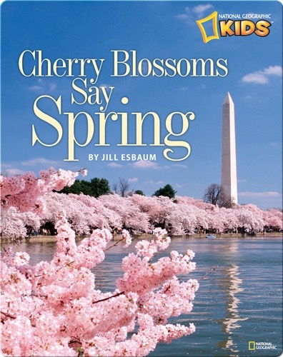 Cherry Blossoms Say Spring