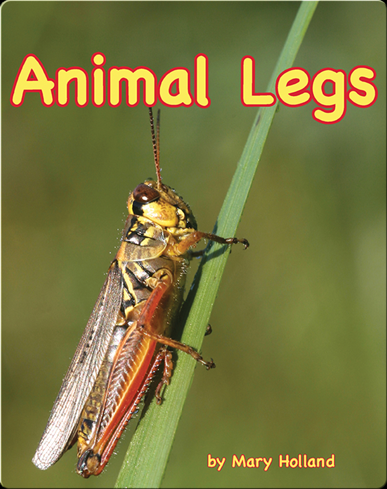 Animal Legs Book by Mary Holland Epic
