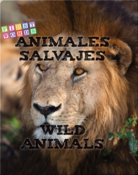 Animales salvajes / Wild Animals