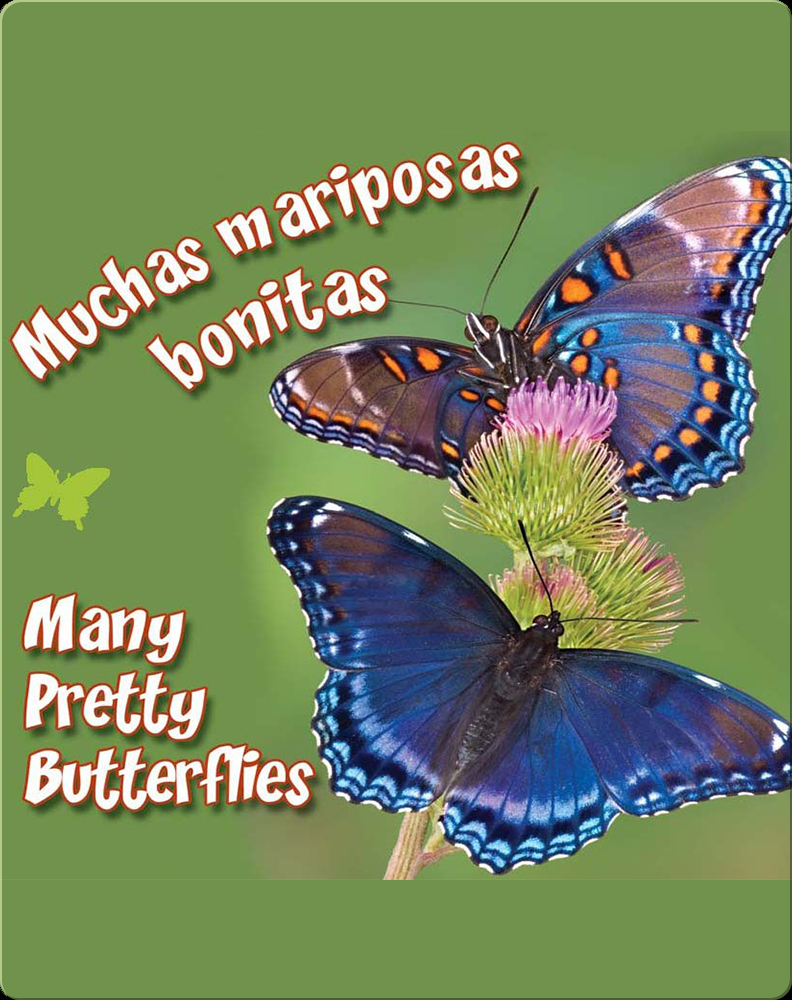 Muchas Mariposas Bonitas (Many Pretty Butterflies) Book by Rourke  Educational Media | Epic