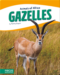 Animals of Africa: Gazelles