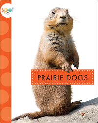 Backyard Animals: Prairie Dogs