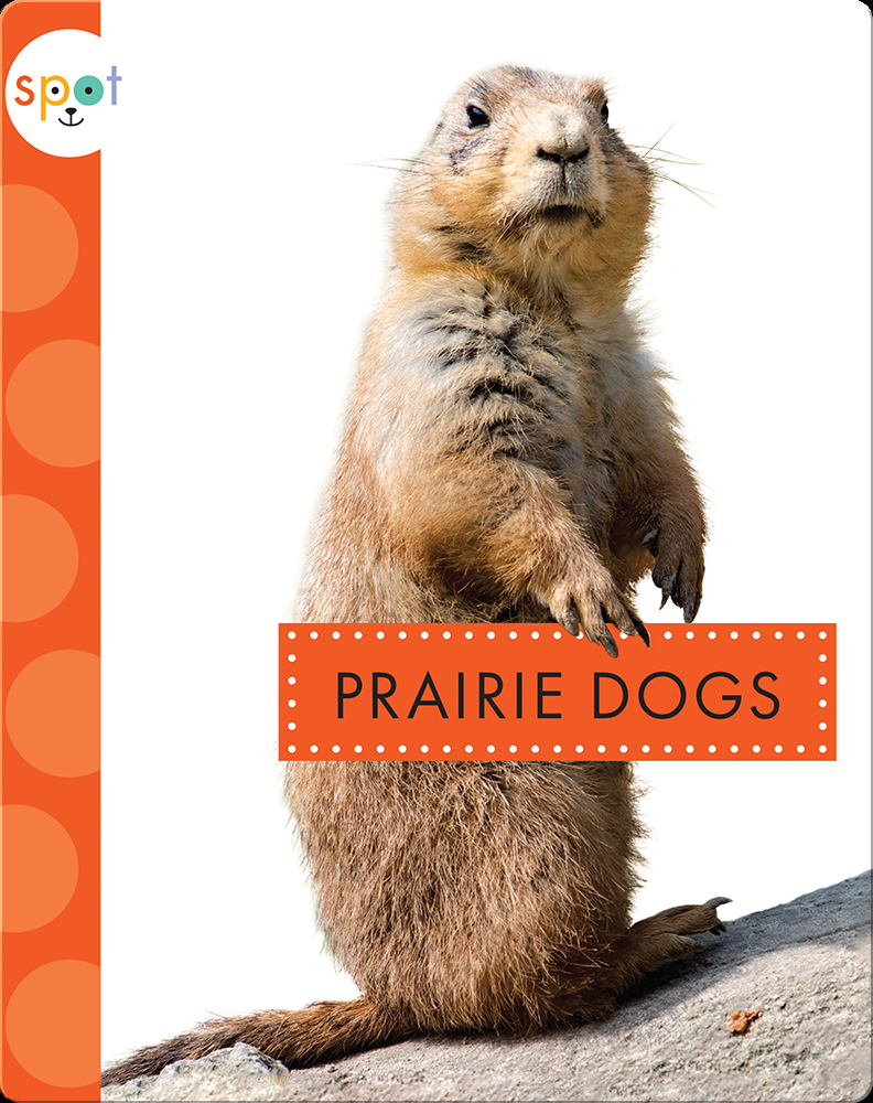 Backyard Animals: Prairie Dogs Book by Mari Schuh | Epic