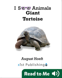 I See Animals: Giant Tortoise