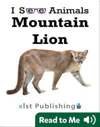 I See Animals: Mountain Lion