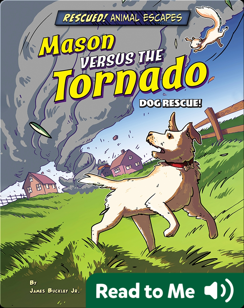 Mason versus the Tornado Dog Rescue! Book by James Buckley Jr. Epic(02)