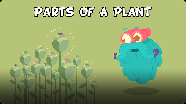 the-dr-binocs-show-parts-of-a-plant-video-discover-fun-and