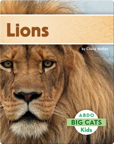 Big Cats: Lions