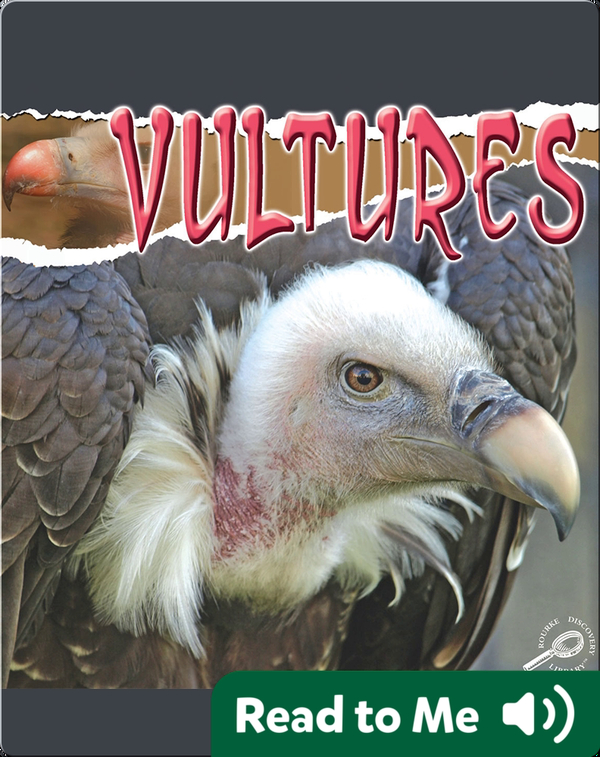 Raptors: Vultures
