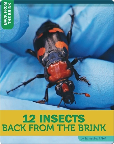 12 Insects Back From The Brink