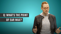 What's the Point of Ear Wax?