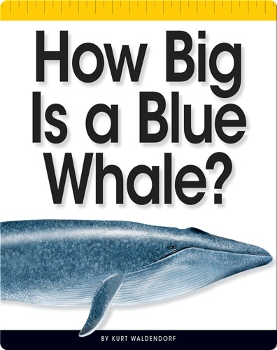 How Big Is a Blue Whale?