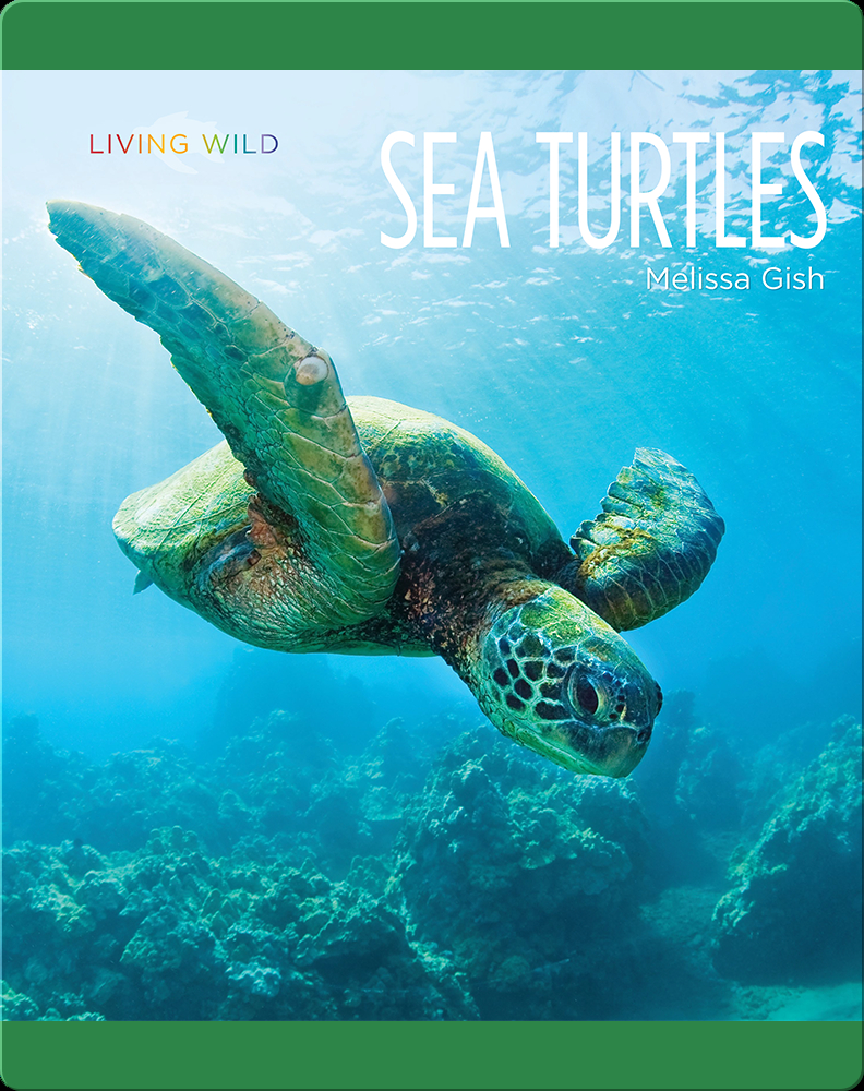 Sea Turtles Book by Melissa Gish | Epic