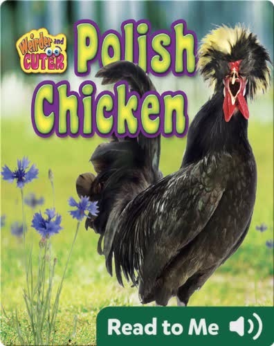 Polish Chicken