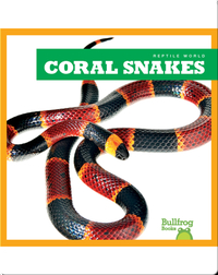 Reptile World: Coral Snakes
