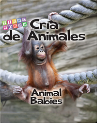 Cría de animales / Animal Babies