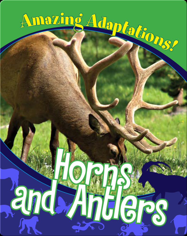 Horns and Antlers Book by Yanitzia Canetti | Epic