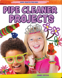 Pipe Cleaner Projects