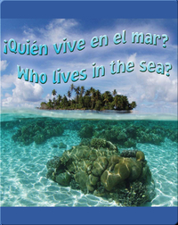 Quien Vive En El Mar?  (Who Lives In The Sea?)