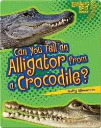 Can you Tell An Alligator from a Crocodile?