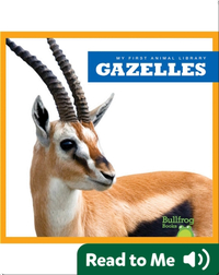 My First Animal Library: Gazelles