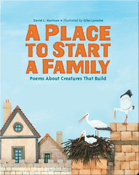 A Place to Start a Family