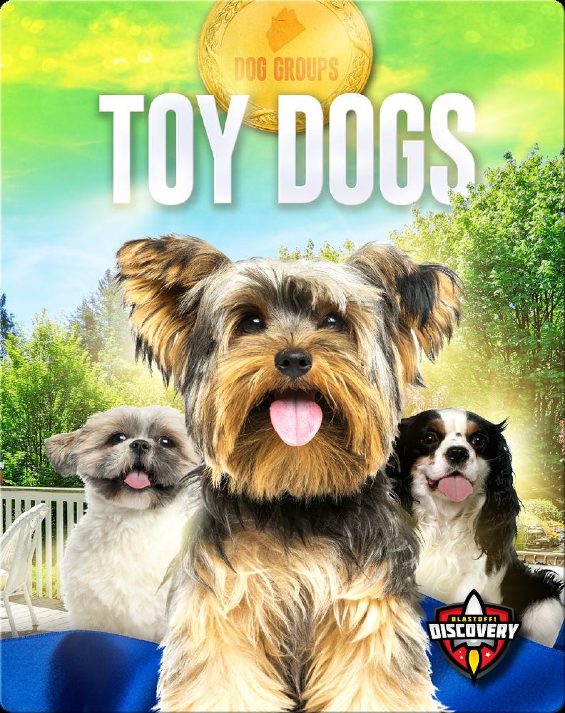 what dogs are in the toy group