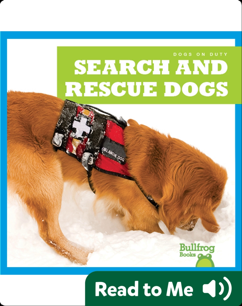 are search and rescue dogs service dogs