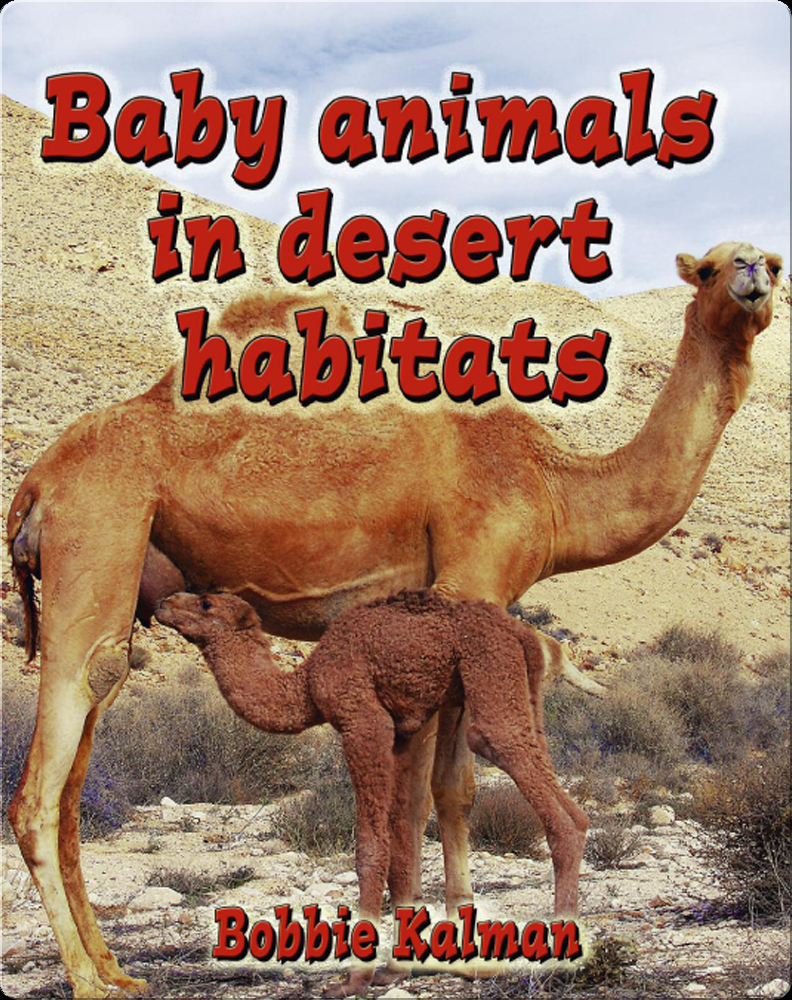 Baby Animals in Desert Habitats Book by Bobbie Kalman | Epic