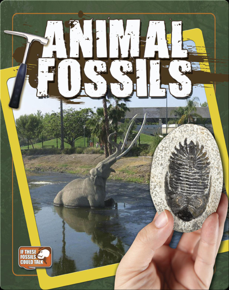 Animal Fossils Book by Natalie Hyde Epic