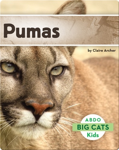 Big Cats: Pumas