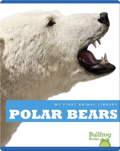 My First Animal Library: Polar Bear