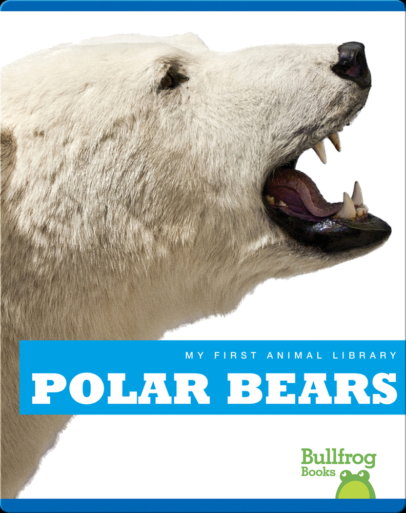 My First Animal Library Polar Bear Book by Cari Meister Epic