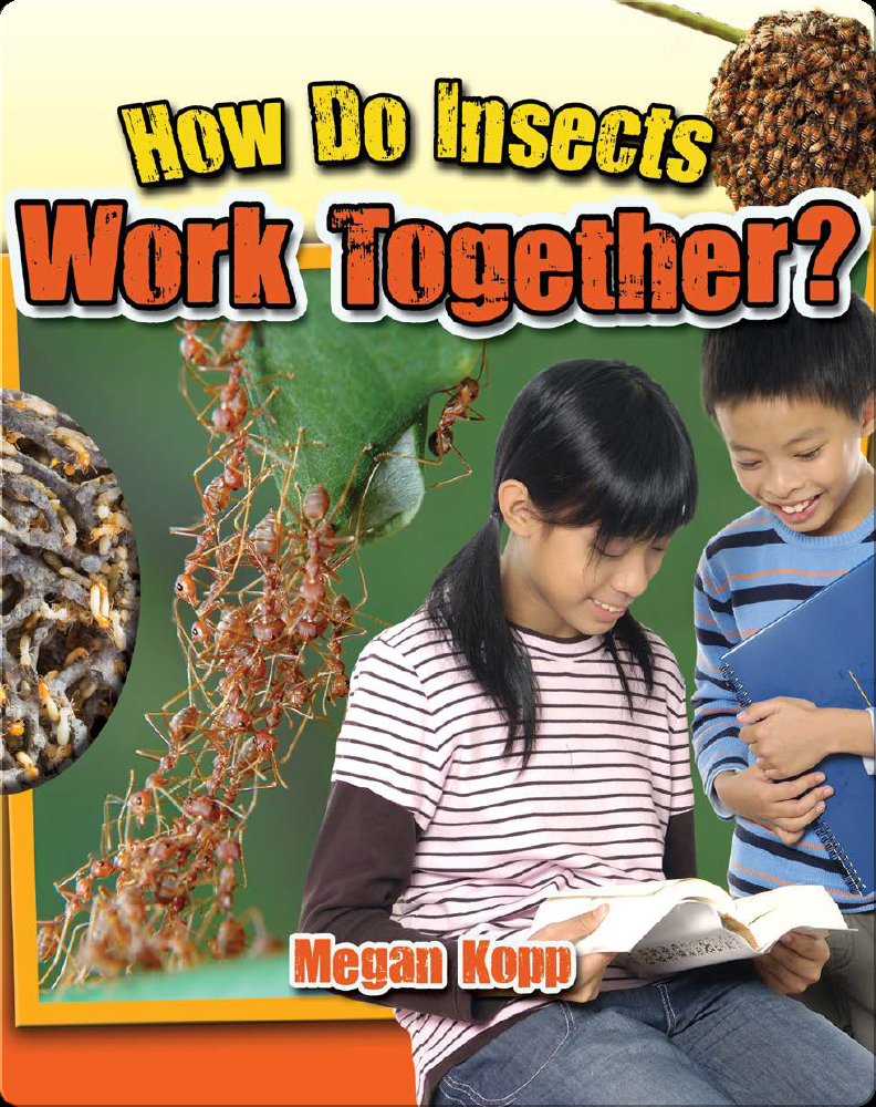 how-do-insects-work-together-children-s-book-by-megan-kopp-discover