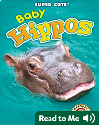 Super Cute! Baby Hippos