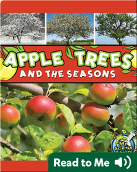 Apple Trees and the Seasons