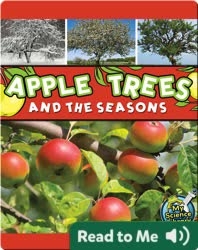 Apple Trees and the Seasons