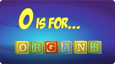 O is for Organs