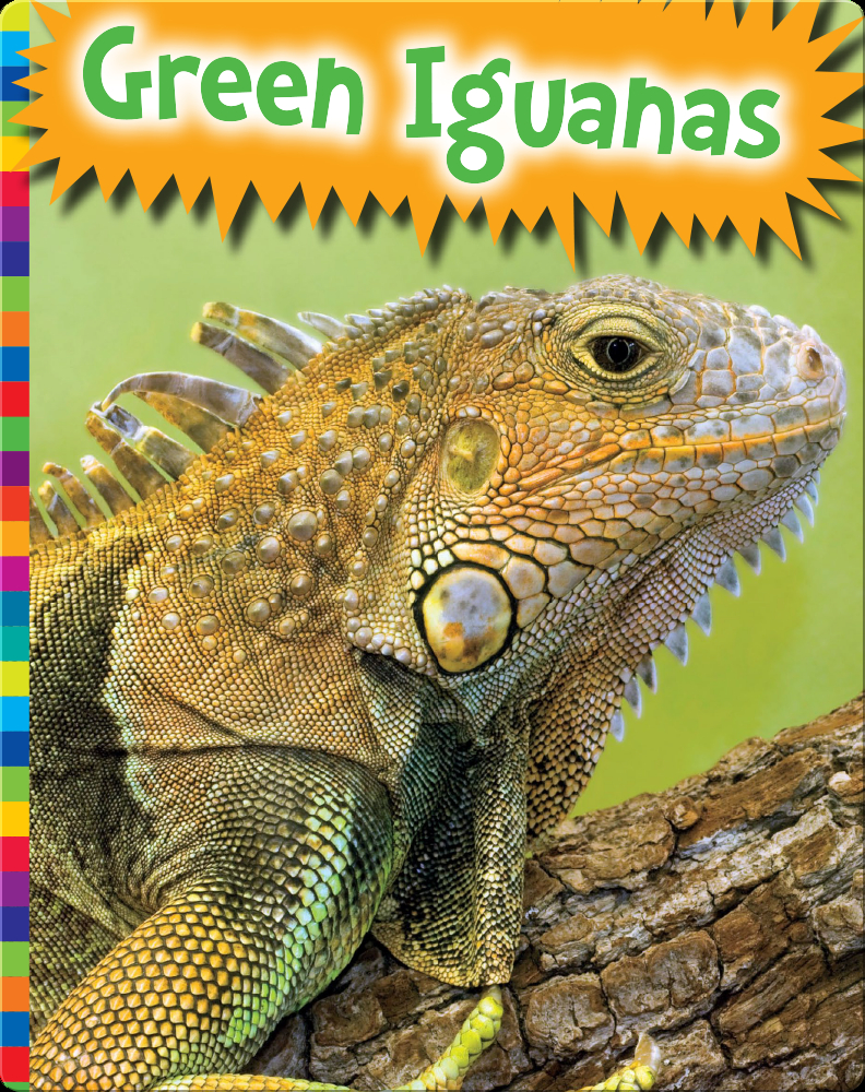 Green Iguanas Book by Elizabeth Raum | Epic